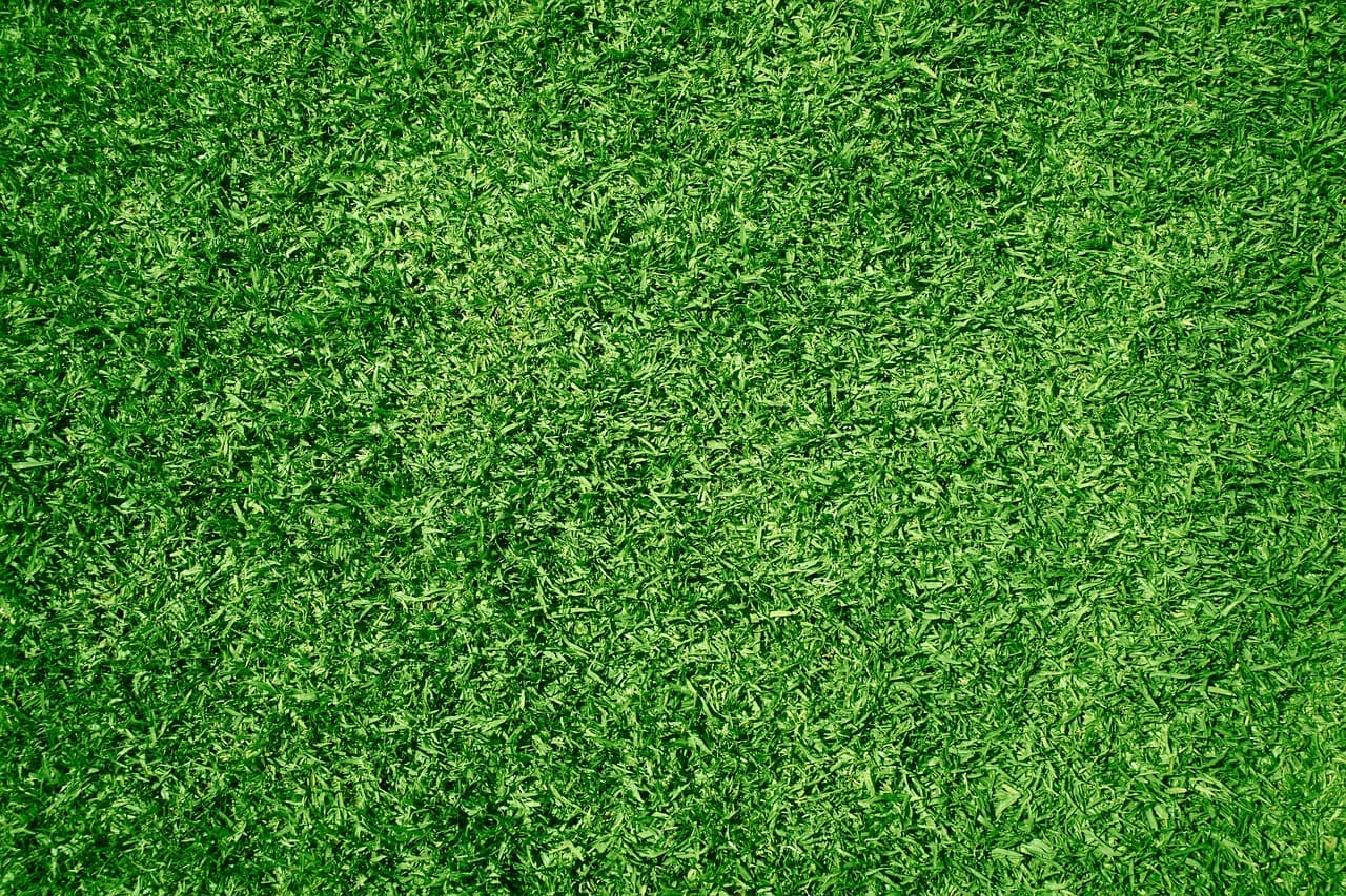 Fertilizer granules being spread across green grass in soft overcast light