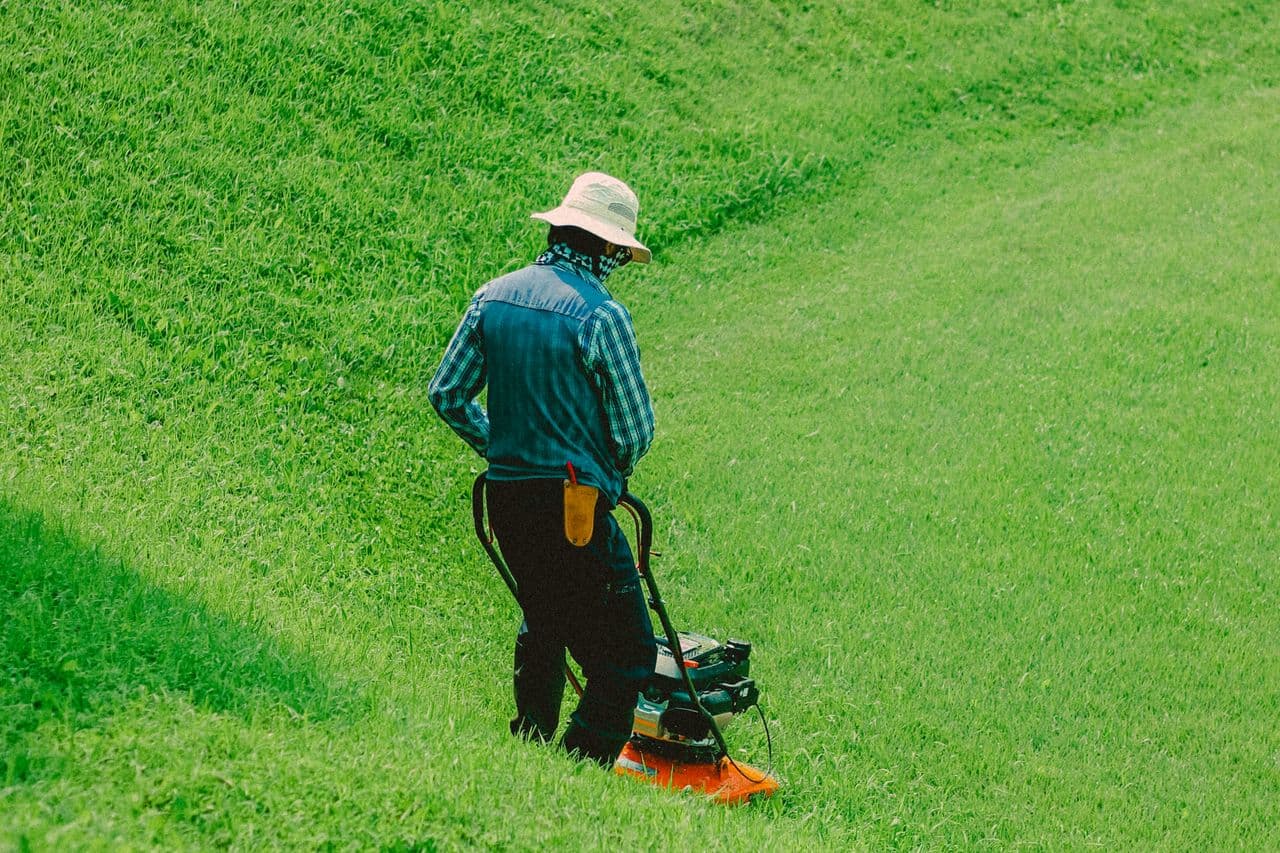 Sprinkler watering a vibrant lawn in soft morning light