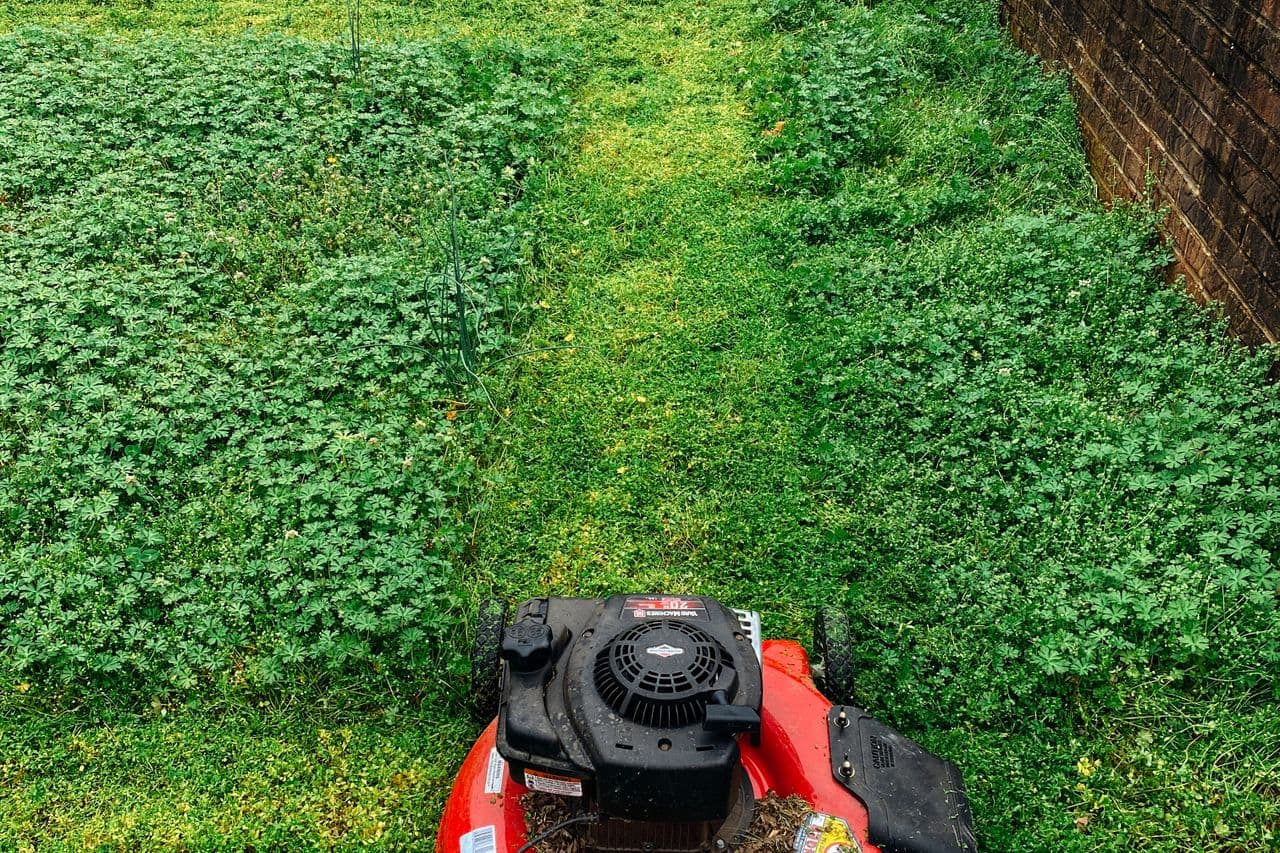 Red push mower resting on a half-mowed lawn in soft overcast light