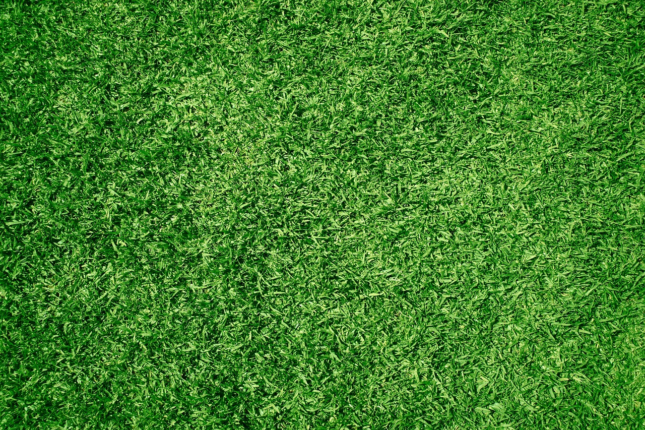 Crisp edges make all the difference. Detail is what keeps our members coming back.