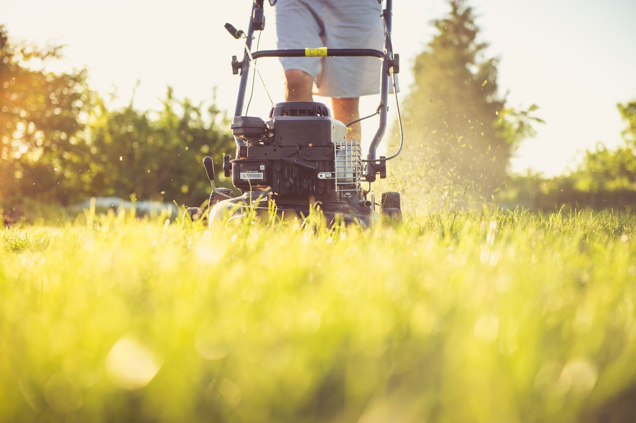 Meet the crew that keeps your weekends free. Thanks for trusting us with your yard! 🙌